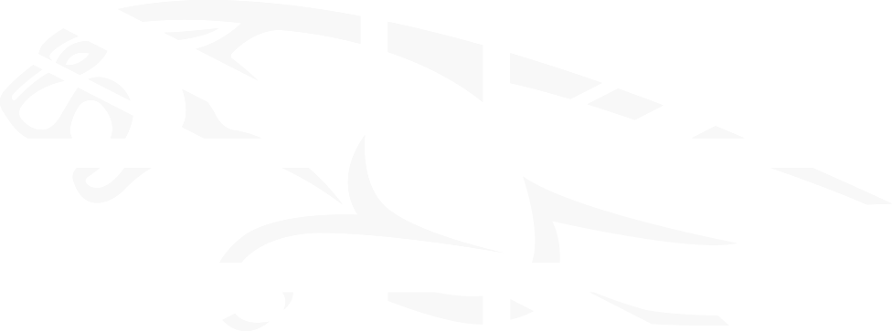 Jaguar Background